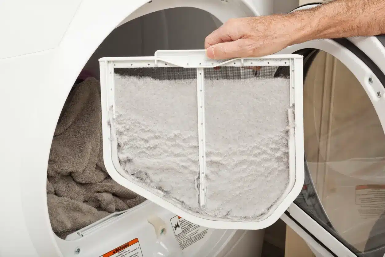 Things You Can Do With Laundry Lint