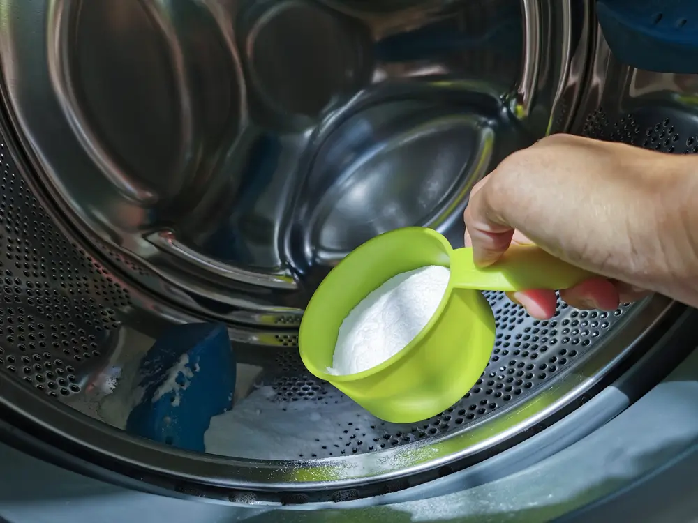 Close up hand adding baking soda powder in to front-loading washing machine for clean inside the washer drum.