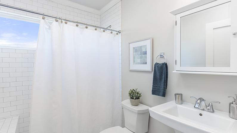 Bathroom with shower curtain.