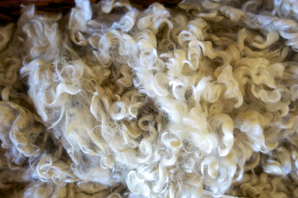 Soft washed mohair fleece as background.